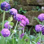 Wohlfuehloase Fuer Natur- Und Gartenliebhaber By Interhome * Walkenried