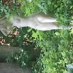 Appartement Wohlfuehloase Fuer Natur- Und Gartenliebhaber By Interhome