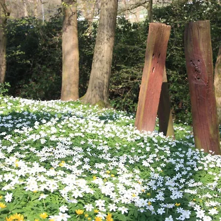 Wohlfuehloase Fuer Natur- Und Gartenliebhaber By Interhome Apartmán