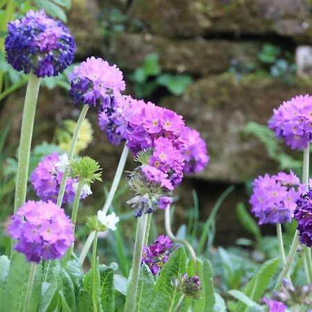 Wohlfuehloase Fuer Natur- Und Gartenliebhaber By Interhome * Walkenried