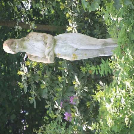 Wohlfuehloase Fuer Natur- Und Gartenliebhaber By Interhome Walkenried