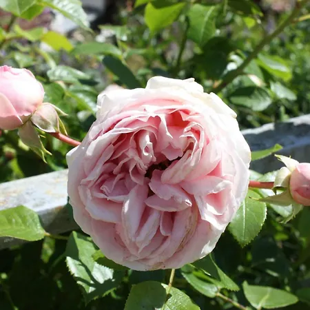 Wohlfuehloase Fuer Natur- Und Gartenliebhaber By Interhome Apartmán *