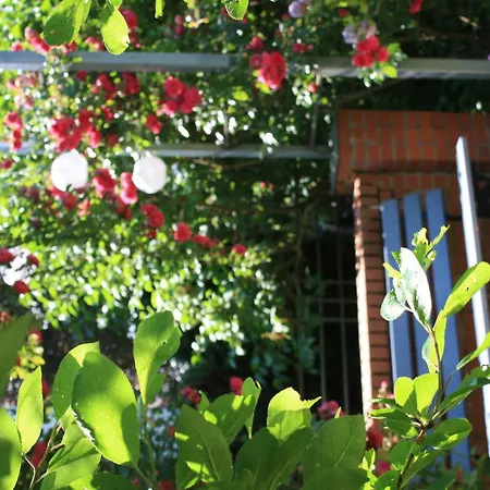 Wohlfuehloase Fuer Natur- Und Gartenliebhaber By Interhome Apartmán *