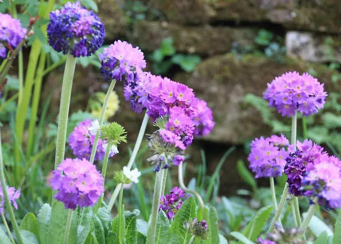Wohlfuehloase Fuer Natur- Und Gartenliebhaber By Interhome * Walkenried