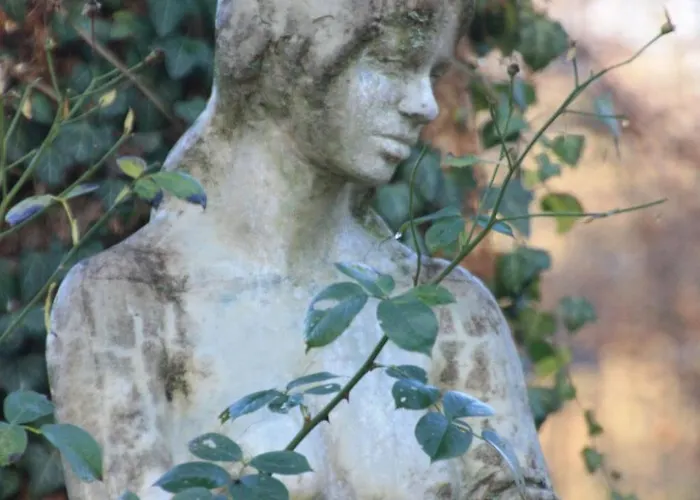 Wohlfuehloase Fuer Natur- Und Gartenliebhaber By Interhome Appartement Walkenried