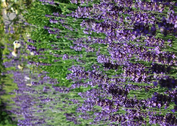 Wohlfuehloase Fuer Natur- Und Gartenliebhaber By Interhome